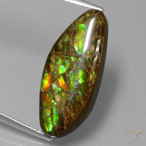 9.86ct Natural Multicolor amolita, Elegante, Opaco