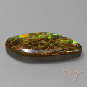 amolita Multicolor natural de 9.86 ct, Elegante, Opaco