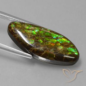 amolita Multicolor natural de 9.86 ct, Elegante, Opaco