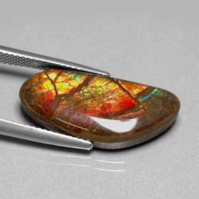 amolita Multicolor natural de 9.95 ct, Forma elegante, Opaco