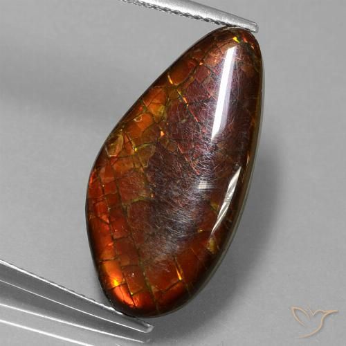 9.99ct Natural Multicolor amolita, Elegante, Opaco