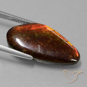 amolita Multicolor natural de 9.99 ct, Elegante, Opaco