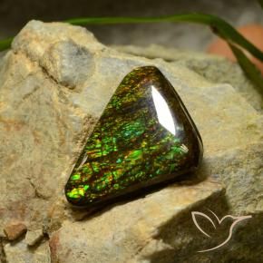 amolita Multicolor natural de 10.34 ct, Trillón, Opaco