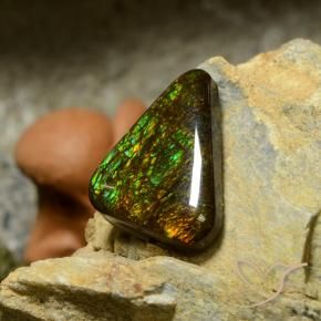 amolita Multicolor natural de 10.34 ct, Trillón, Opaco
