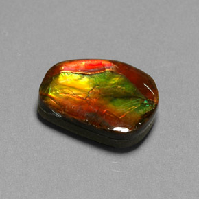 Ammolita multicolor natural de 10,55 ct, forma elegante, opaco