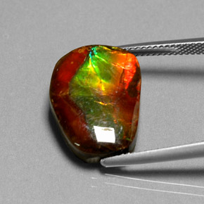 Ammolita multicolor natural de 10,55 ct, forma elegante, opaco