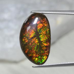 Ammolita multicolor natural de 10,69 ct, forma elegante, opaco