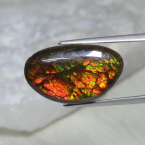 Ammolita multicolor natural de 10,69 ct, forma elegante, opaco
