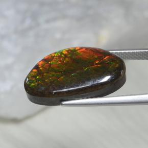 Ammolita multicolor natural de 10,69 ct, forma elegante, opaco