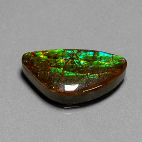 Ammolita multicolor natural de 11,25 ct, forma elegante, opaco