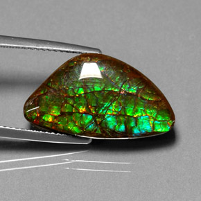 Ammolita multicolor natural de 11,25 ct, forma elegante, opaco
