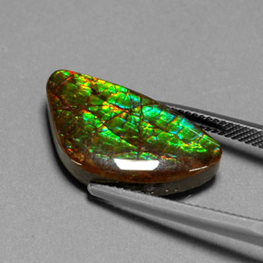 Ammolita multicolor natural de 11,25 ct, forma elegante, opaco