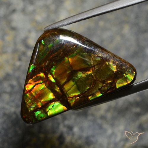 11.39ct Natural Multicolor amolita, Elegante, Opaco