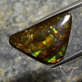 amolita Multicolor natural de 11.39 ct, Elegante, Opaco