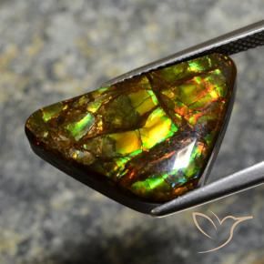 amolita Multicolor natural de 11.39 ct, Elegante, Opaco