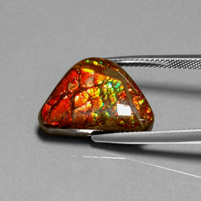 Ammolita multicolor natural de 11,49 ct, forma elegante, opaco
