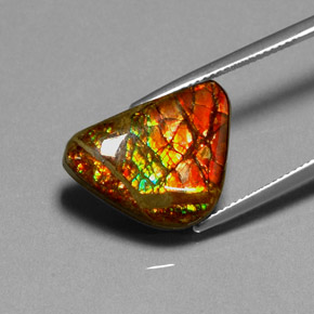 Ammolita multicolor natural de 11,49 ct, forma elegante, opaco