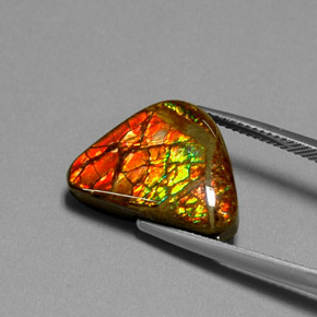 Ammolita multicolor natural de 11,49 ct, forma elegante, opaco