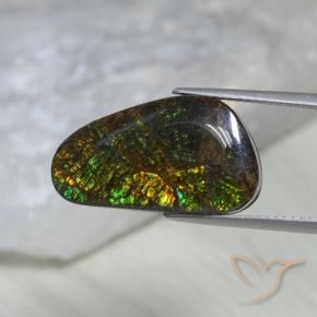 amolita Multicolor natural de 11.60 ct, Elegante, Opaco