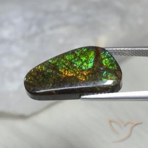 amolita Multicolor natural de 11.60 ct, Elegante, Opaco