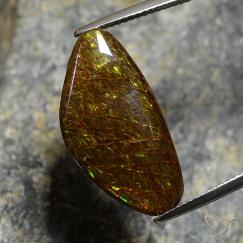 11.88ct Natural Multicolor amolita, Elegante, Opaco