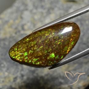 amolita Multicolor natural de 11.88 ct, Elegante, Opaco