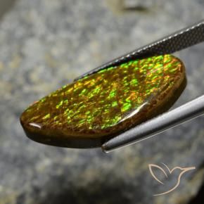 amolita Multicolor natural de 11.88 ct, Elegante, Opaco