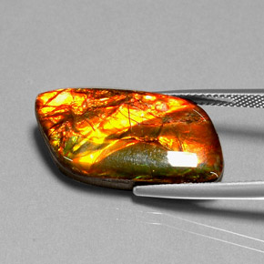 Ammolita multicolor natural de 11,92 ct, forma elegante, opaco