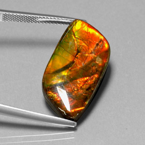 Ammolita multicolor natural de 11,92 ct, forma elegante, opaco