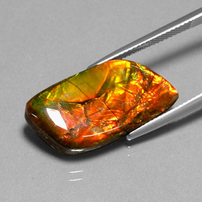 Ammolita multicolor natural de 11,92 ct, forma elegante, opaco