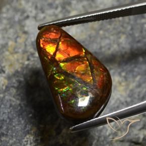 amolita Multicolor natural de 11.96 ct, Elegante, Opaco