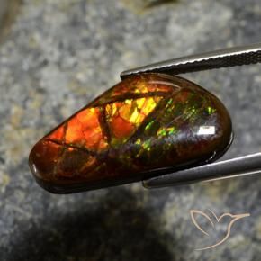 amolita Multicolor natural de 11.96 ct, Elegante, Opaco