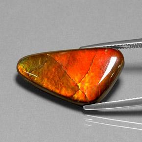 amolita Multicolor natural de 12.20 ct, Forma elegante, Opaco