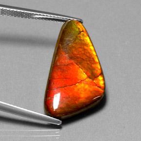 amolita Multicolor natural de 12.20 ct, Forma elegante, Opaco