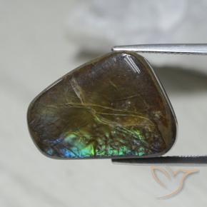 amolita Multicolor natural de 12.08 ct, Elegante, Opaco