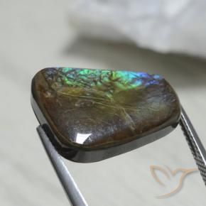 amolita Multicolor natural de 12.08 ct, Elegante, Opaco