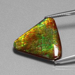 Ammolita multicolor natural de 12,71 ct, forma elegante, opaco