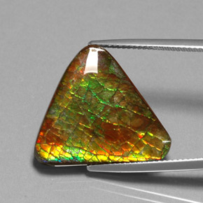 Ammolita multicolor natural de 12,71 ct, forma elegante, opaco