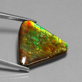Ammolita multicolor natural de 12,71 ct, forma elegante, opaco