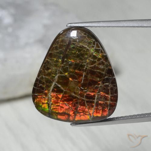 13.62ct Natural Multicolor amolita, Elegante, Opaco