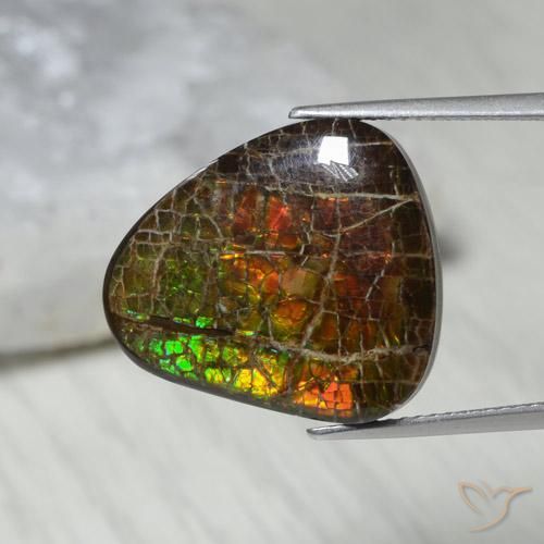amolita Multicolor natural de 13.62 ct, Elegante, Opaco