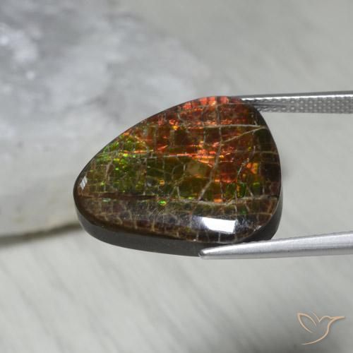amolita Multicolor natural de 13.62 ct, Elegante, Opaco