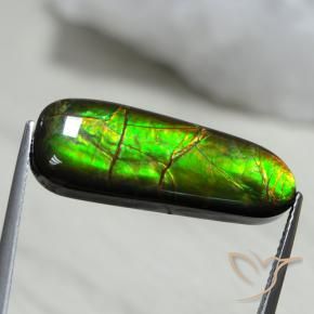 amolita Multicolor natural de 13.66 ct, Elegante, Opaco
