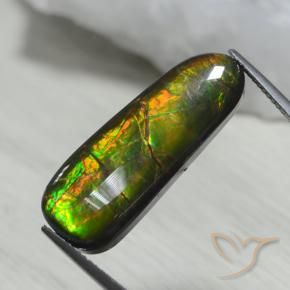 amolita Multicolor natural de 13.66 ct, Elegante, Opaco