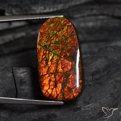 14.13ct Natural Multicolor amolita, Elegante, Opaco