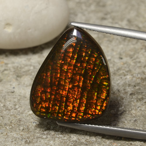 Ammolita multicolor natural de 14,29 ct, forma elegante, opaco