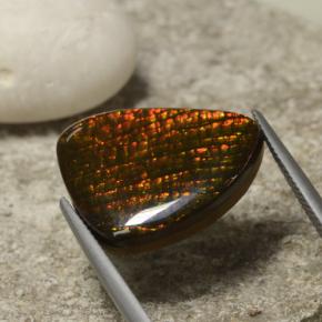 Ammolita multicolor natural de 14,29 ct, forma elegante, opaco