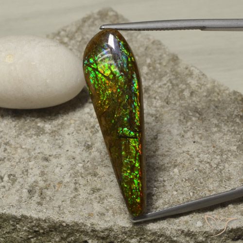 14.49ct Natural Multicolor amolita, Elegante, Opaco