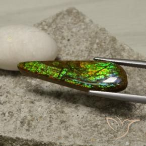 amolita Multicolor natural de 14.49 ct, Elegante, Opaco