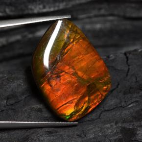 Ammolita multicolor natural de 15,89 ct, forma elegante, opaco